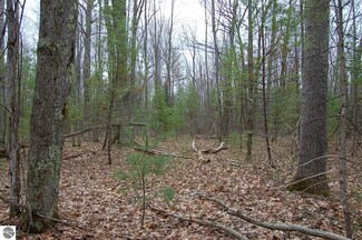 9000 E 4 Rd, Fife Lake, MI 49633