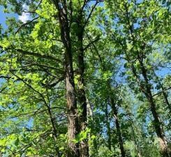 XX Vink Rd, Sandstone, MN 55072