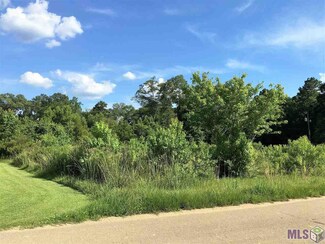 37230 R And r Dr, Walker, LA 70785