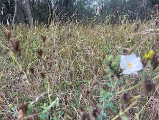 000 Kaaawa Ln Unit 5, Bastrop, TX 78602