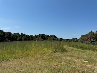 930 Cave Ridge Ln, Horse Branch, KY 42347