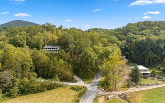 1.34 Laurel Springs Rd, Mineral Bluff, GA 30559