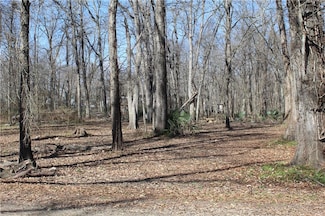 165 Sportsman Ln, Jonesville, LA 71343