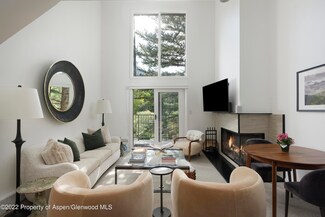 1050 Waters Ave Unit 14, Aspen, CO 81611
