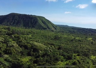 0 Hilea Rd, Naalehu, HI 96772