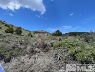 4720 Lost Burro Rd, Virginia City, NV 89521