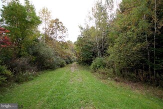 Lot On W Sycamore Rd, Moshannon, PA