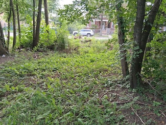 7149 S Champlain Ave, Chicago, IL 60619