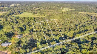 TBD Lot 3 County Road 2344, New Chapel Hill, TX 75707
