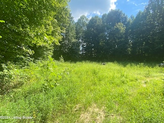 0 Knifley Rd Unit 1673235, Fairplay, KY 42728