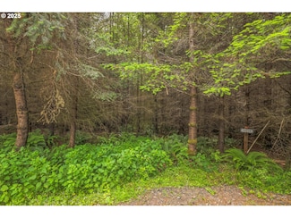 0 Grand Ridge Rd Unit Lot 16 253211512, Toutle, WA 98649