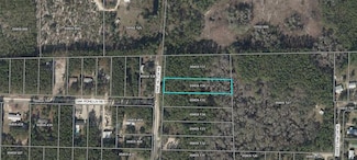 0 Pine Hill Dr Unit 794961, Steinhatchee, FL 32359