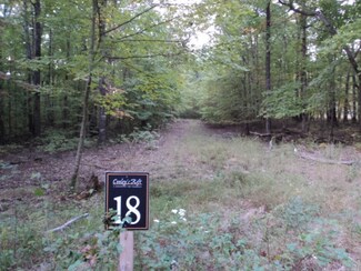 18 Cooley's Rift Blvd, Monteagle, TN 37356