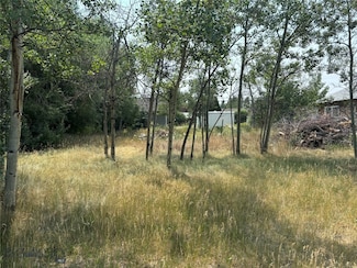 TBD Phillips St, Butte, MT 59701