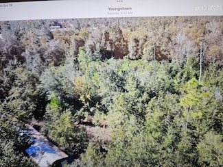 9110 Oakridge Ln, Youngstown, FL 32466