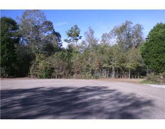 0 Longcoy Unit 3283227, Perkinston, MS 39573
