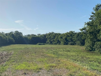 TBD Ash Ln, Wills Point, TX 75169