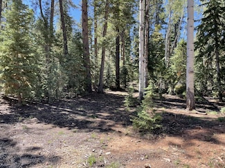 720 Pinecrest Dr, Duck Creek Village, UT 84762