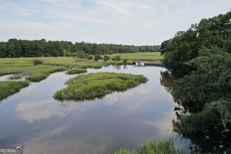 2061 Belle Island Rd, Richmond Hill, GA 31324