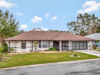 21524 Queen Anne Ct, Leesburg, FL 34748