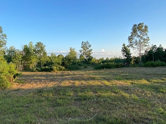 0 Sloan Dr Unit 11527394, Blountsville, AL 35031