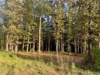 23 Edgewater Dr, Northport, AL 35475