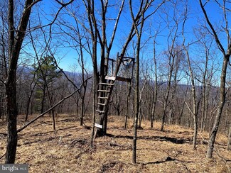 0 Nathaniel Mountain Rd Unit WVHD106652, Moorefield, WV 26836