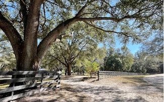 12550 160th Terrace, Mc Alpin, FL 32062