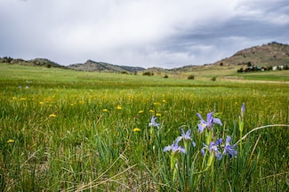 816 Meadow Way, Livermore, CO 80536