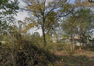 0 Felicia St Unit 45670358, Houston, TX 77091