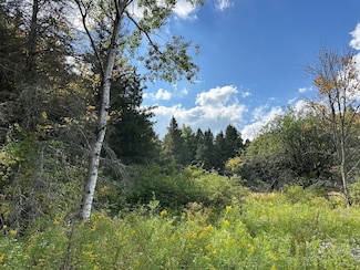 Vl Unit McAndrews Road LotWP, Andover, NY 14806