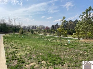 135 Low Ridge Ln, Paducah, KY 42003