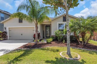 11142 Spring Point Cir, Riverview, FL 33579