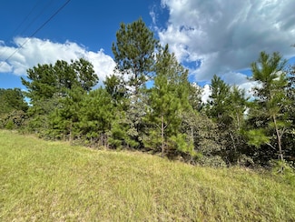 00 Goett Rd, Dearing, GA 30808