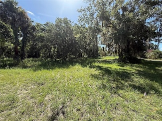 315 Palmetto St, Eustis, FL 32726