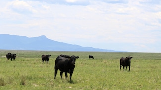 48999 County Road 48, Model, CO 81059