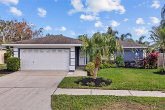 1932 Brainerd Ct, Lutz, FL 33549