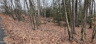 145 & 146 Indian Dr, Palmyra Township, PA 18426