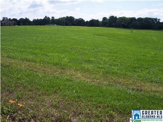 3 Berry Mtn Loop Unit 3A & 4A, Blountsville, AL 35031
