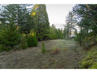 0 Pine Ridge Dr Unit 21400909, Glide, OR 97443