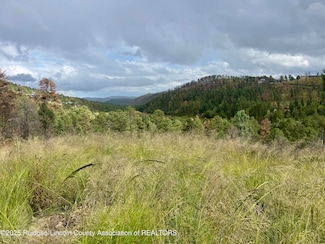 206 Sunset Dr, Alto, NM 88312