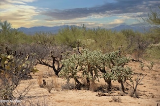 14943 W Parkin Ln, Three Points, AZ 85736