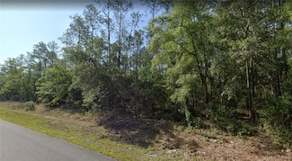 546 E Bimini Dr, Citrus Springs, FL 34434