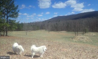 Lot 78 Trough View Rd, Old Fields, WV 26836