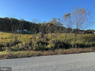 Lot 4 Wild Turkey Ln, East Brunswick Township, PA 17960