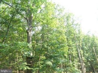16 D Bunker Ln, Springfield, WV 26763