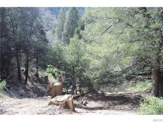 0 Mojave River Rd Unit 2161275, Cedarpines Park, CA 92322