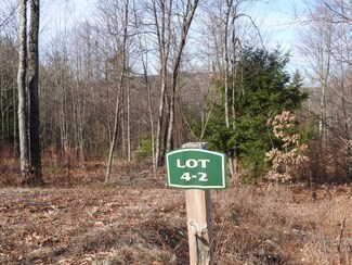 4.2 White Tail Run, Hopkinton, NH 03229