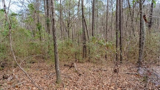 0 Deer Path, Wilsonville, AL 35186