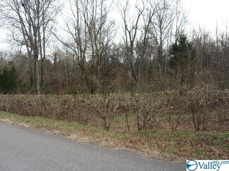 0 Philpot Rd Unit 1797608, Ardmore, TN 38449
